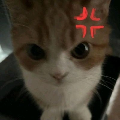 ֍ 🇫🇷's profile picture