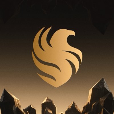 TeamFalconsGG's profile picture