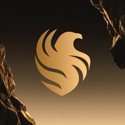 FalconsEsport's profile picture