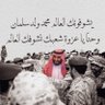 ⚔️🛢️🌴🐪✨🇸🇦 的头像