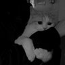 Profilbild von TAHARAT Gull
