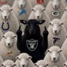 Jay Johnson's profile picture