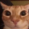 Beka's profile picture