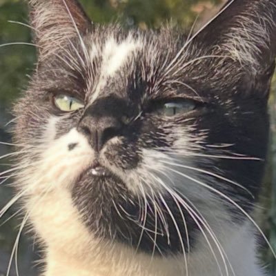 KOBCOB2's profile picture