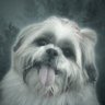 Fefe ′–′'s profile picture