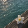 نوَرة💎. profil fotoğrafı