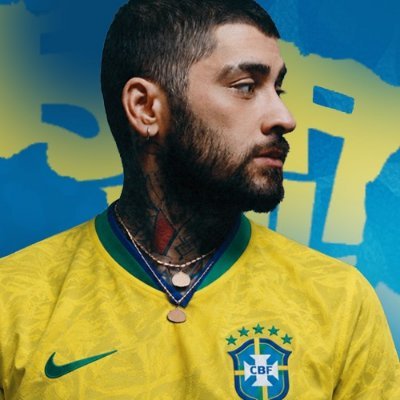 ZaynSquadBrasil's profile picture