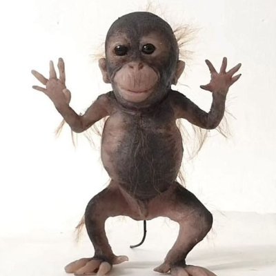 sul é meu país's profile picture
