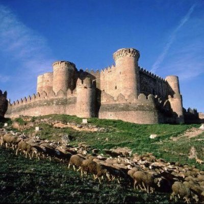 الأخـيَـل's profile picture