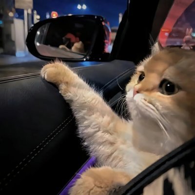 luoluo909090's profile picture