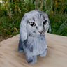 cabbit's profile picture