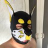 リュ～🍊🧡🍊🧡（胸毛パピー🐶🔰） 的头像