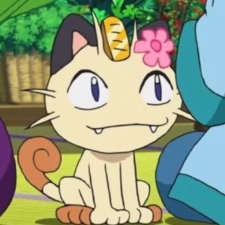 acervo meowth's profile picture