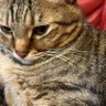 Profilbild von 雨