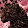 السـادة.'s profile picture