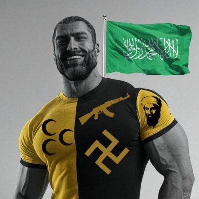 Islamic Age Barbarian 🏴☠️'s profile picture