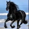 robiul Islam's profile picture