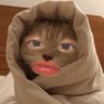 🐱 profil fotoğrafı