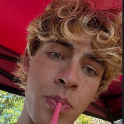 sintiboran's profile picture