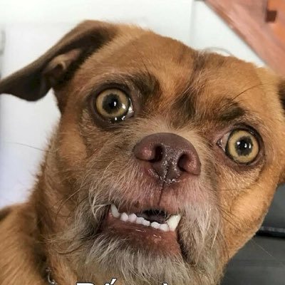 Funny clip video's profile picture
