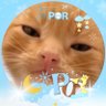 ᴘᴏʀᴘᴏʀʕ•ᴥ•ʔ ⱽᴬⱽᴬ profil fotoğrafı