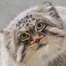 おもち's profile picture