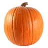 Profilbild von Pumpkin