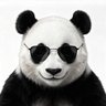 美国皇帝兼加拿大总督's profile picture