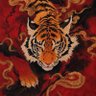 Tigress 的头像