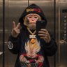 Profilbild von ♡Power Yep✧˖°𓍯𓂃𓏧♡