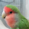 Profilbild von ゆず