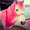 H. profil fotoğrafı