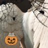 spookey profil fotoğrafı