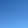 BigDfig's profile picture