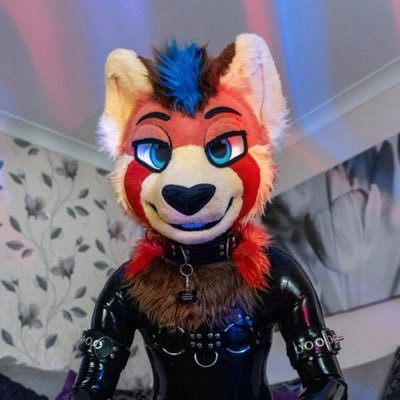 shiwahri's profile picture