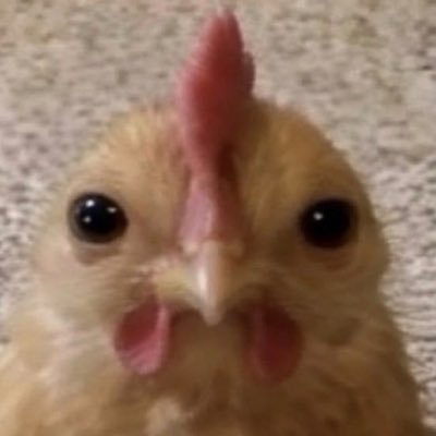 m's profile picture