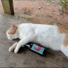 K profil fotoğrafı