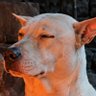 Profilbild von Zeus101101
