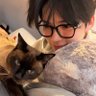 Profilbild von hamcat dead:alive
