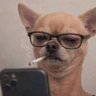 FuccCuh's profile picture