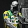 Thiago Q T's profile picture