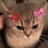 ୨𓏲's profile picture