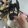 线下🈷️诗琳想🈷️看简介 profil fotoğrafı