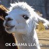 DramaLamaWowClips ็ๅคดๅ