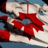 NorthBelle🇨🇦CANADIENNE 的头像