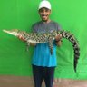 Eng/Abdrhman Bn Ahmd's profile picture