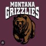 IdahoGrizfan 的头像