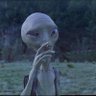 xero's profile picture