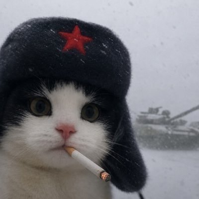askobiefsa2's profile picture