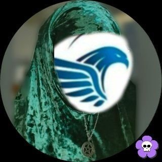 FalconryFinance's profile picture